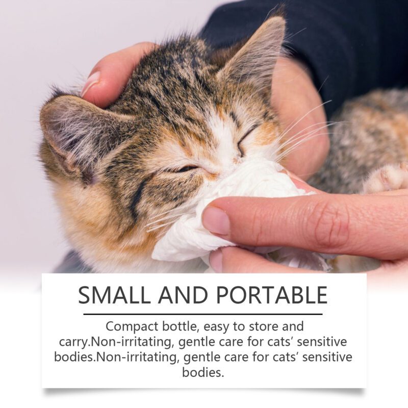 Yegbong Cat L-Lysine Tablets for Immune Support & Feline Health - Premium Supplement - Image 4