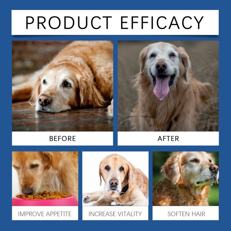 Yegbong Senior Dog Trace Element & Calcium Tablets for Nerve Health and Wellness - Image 4