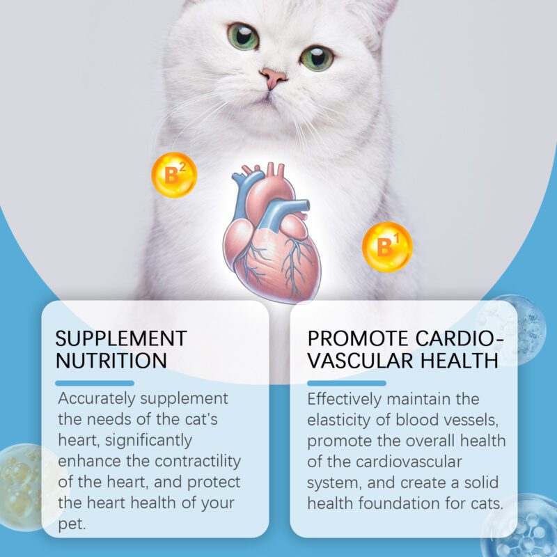 Yegbong Coenzyme Q10 Tablets for Cats - Heart Health & Vitality Supplement - Image 3