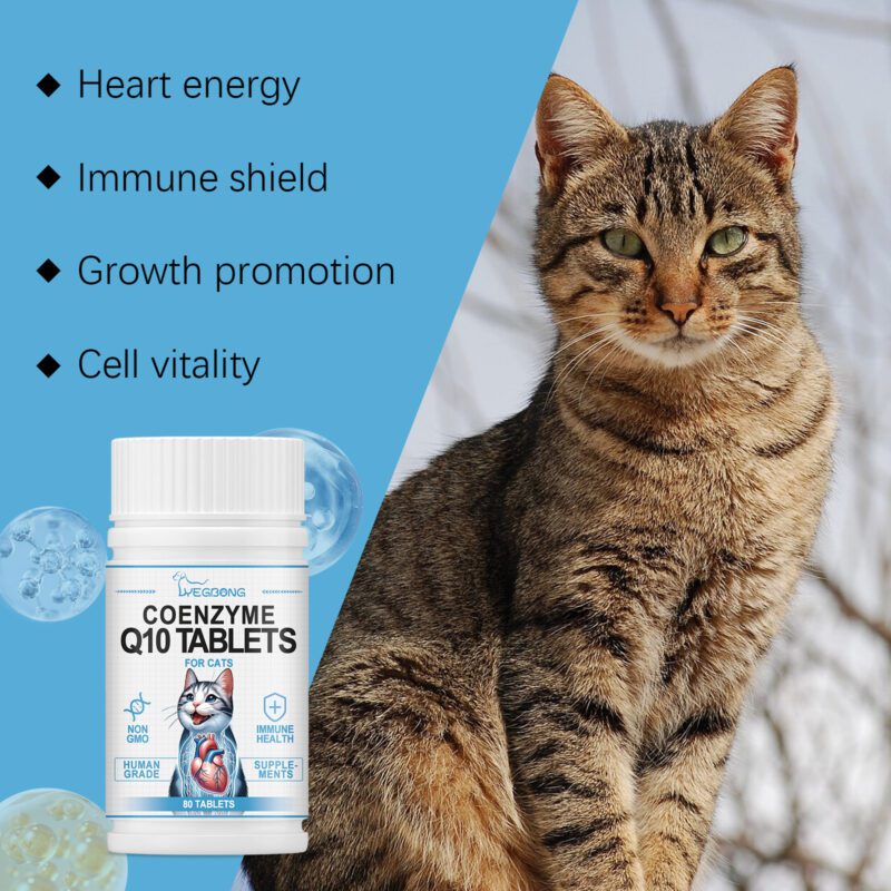 Yegbong Coenzyme Q10 Tablets for Cats - Heart Health & Vitality Supplement - Image 4