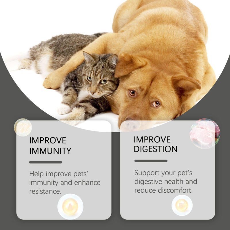 Yegbong Probiotic Tablets for Cats and Dogs: Digestive Health & Nutrient Absorption - Image 4