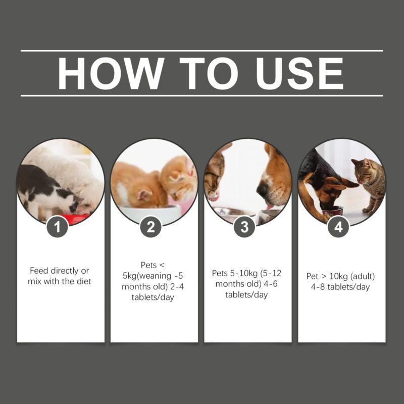 Yegbong Probiotic Tablets for Cats and Dogs: Digestive Health & Nutrient Absorption - Image 6