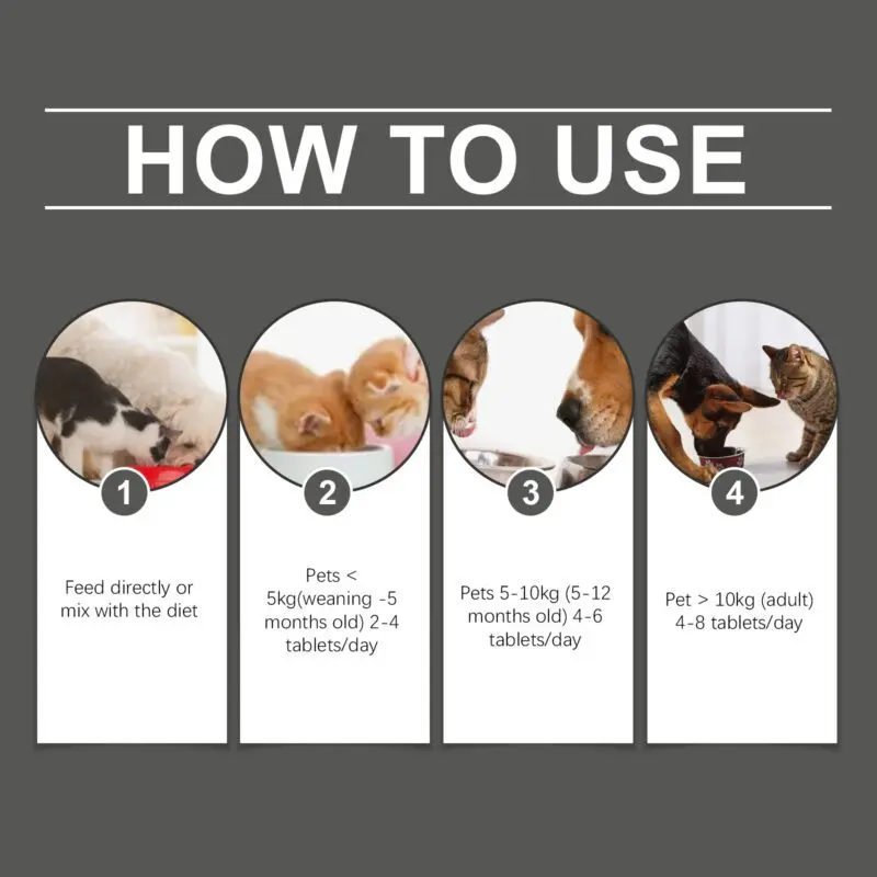 Yegbong Probiotic Tablets for Cats and Dogs: Digestive Health & Nutrient Absorption - Image 6