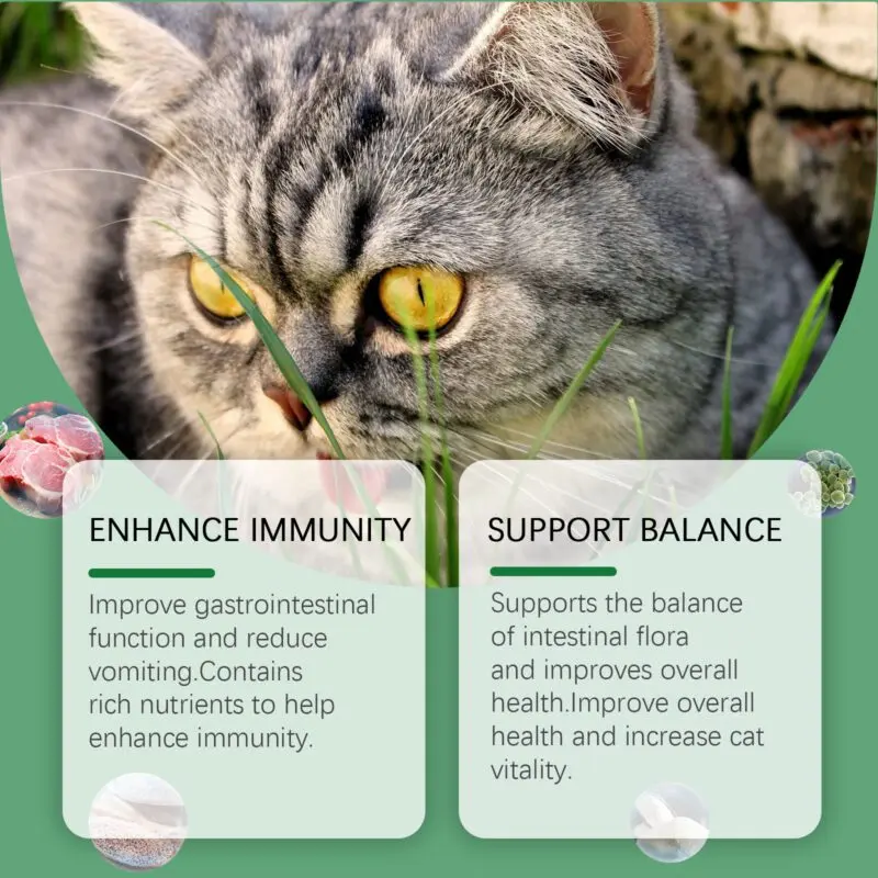 Yegbong Cat Grass Tablets with Dietary Fiber for Nutrient Absorption in Cats - Image 3