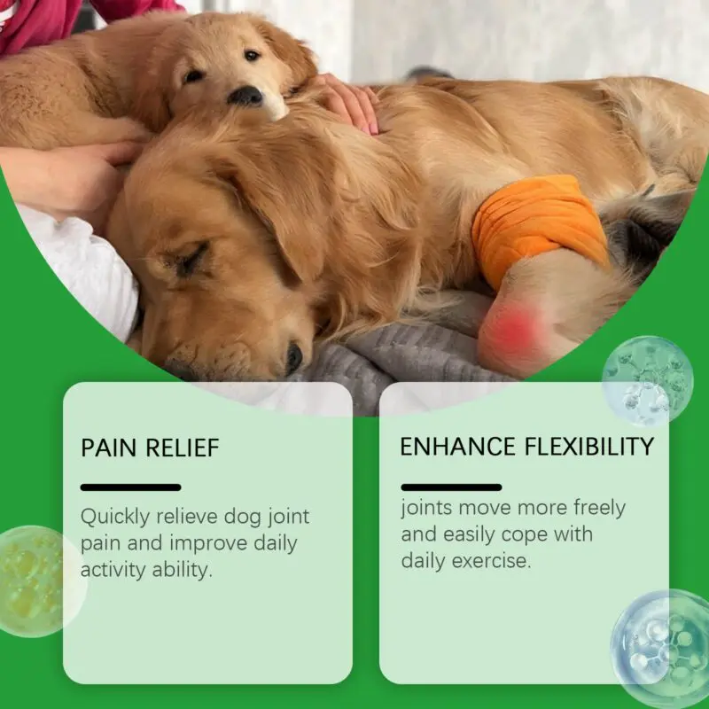 Yegbong Dog Joint Care Tablets for Joint Support and Mobility - Image 3