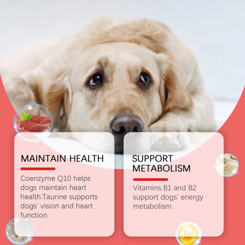 Yegbong Premium Dog Coenzyme Q10 Tablets - Heart Health Supplement for Dogs - Image 4