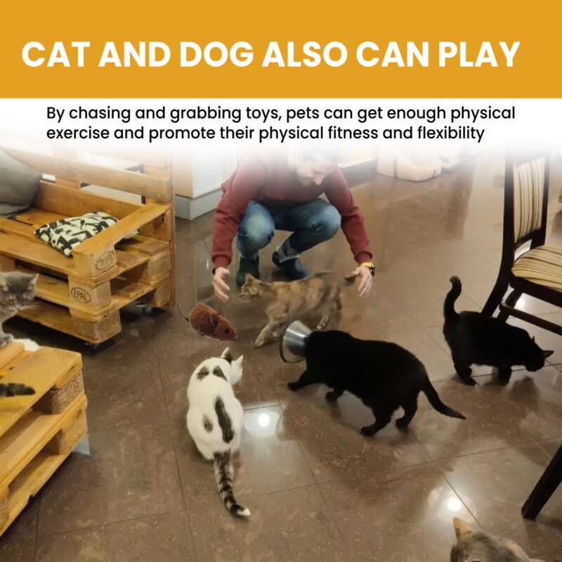 Yegbong Interactive Plush Mouse Toy for Cats & Dogs with Sound - Stress Relief - Image 4