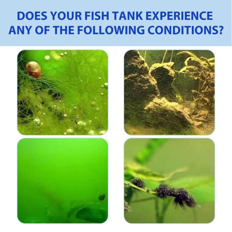 Yegbong Algae Removal Powder for Fish Tanks - Aquarium Moss Cleaner & Water Purifier - Image 3