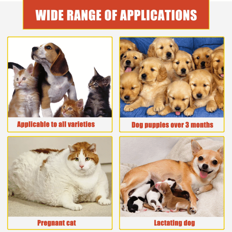 Yegbong Pet Hemostatic & Styptic Powder for Cats & Dogs - Fast-Acting Wound Care - Image 3