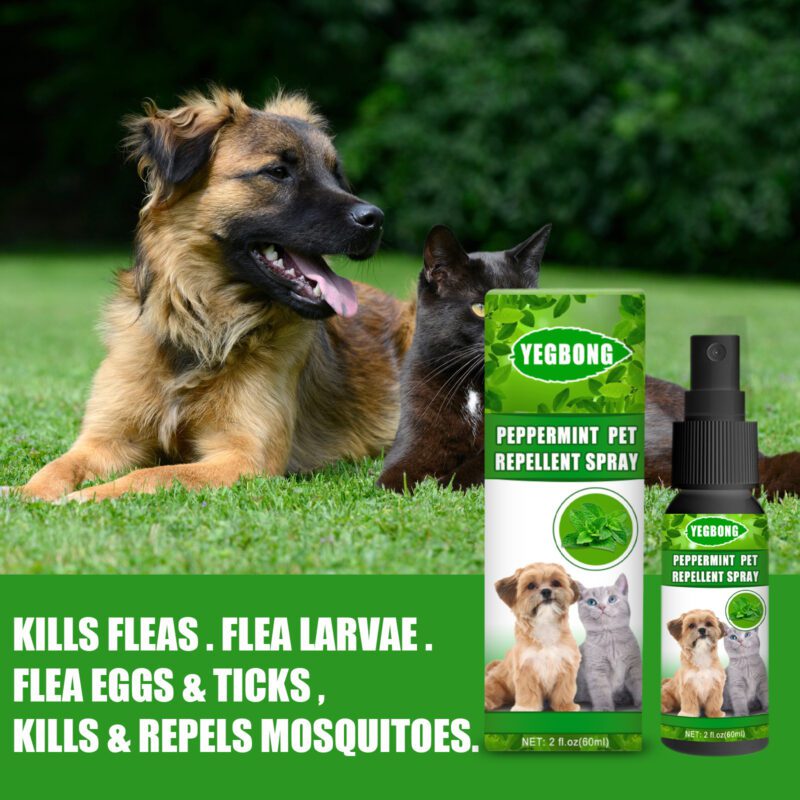 Yegbong Natural Peppermint Pet Repellent Spray - Mite Control for Cats & Dogs - Image 3