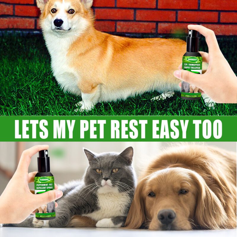 Yegbong Natural Peppermint Pet Repellent Spray - Mite Control for Cats & Dogs - Image 4