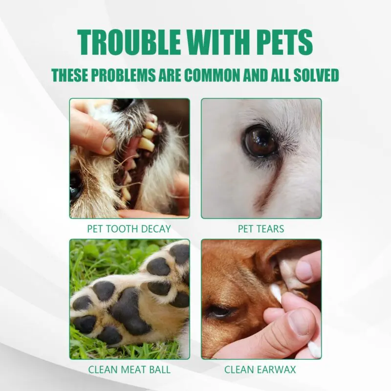 Yegbong Pet Dental Gloves for Dogs and Cats - Tartar Removal & Oral Care - Image 3
