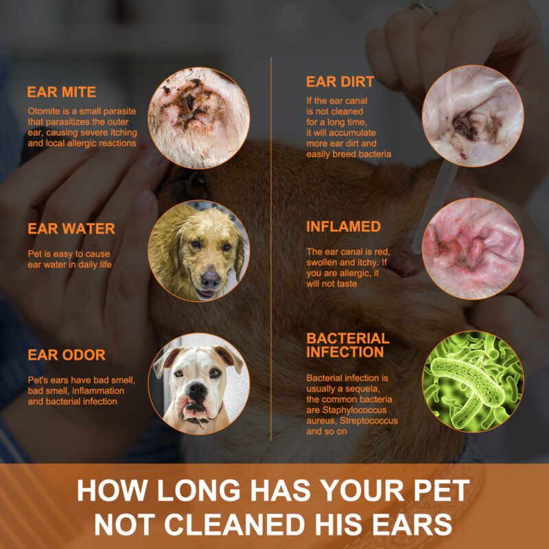 Yegbong Pet Ear Cleaning Drops for Cats & Dogs - Anti-Itch Ear Cleaner, Deodorizer - Image 3