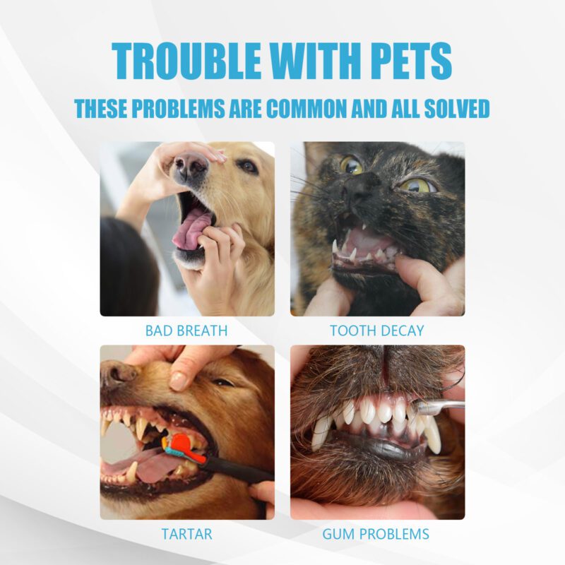 Yegbong Edible Pet Toothpaste for Dogs & Cats: Fresh Breath & Tartar Control - Image 4