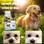 Yegbong Tear Duct & Tear Stain Serum for Dogs & Cats - Topical Eye Care for Eye Discharge