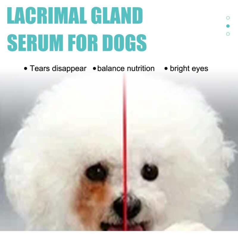 Yegbong Tear Duct & Tear Stain Serum for Dogs & Cats - Topical Eye Care for Eye Discharge - Image 4