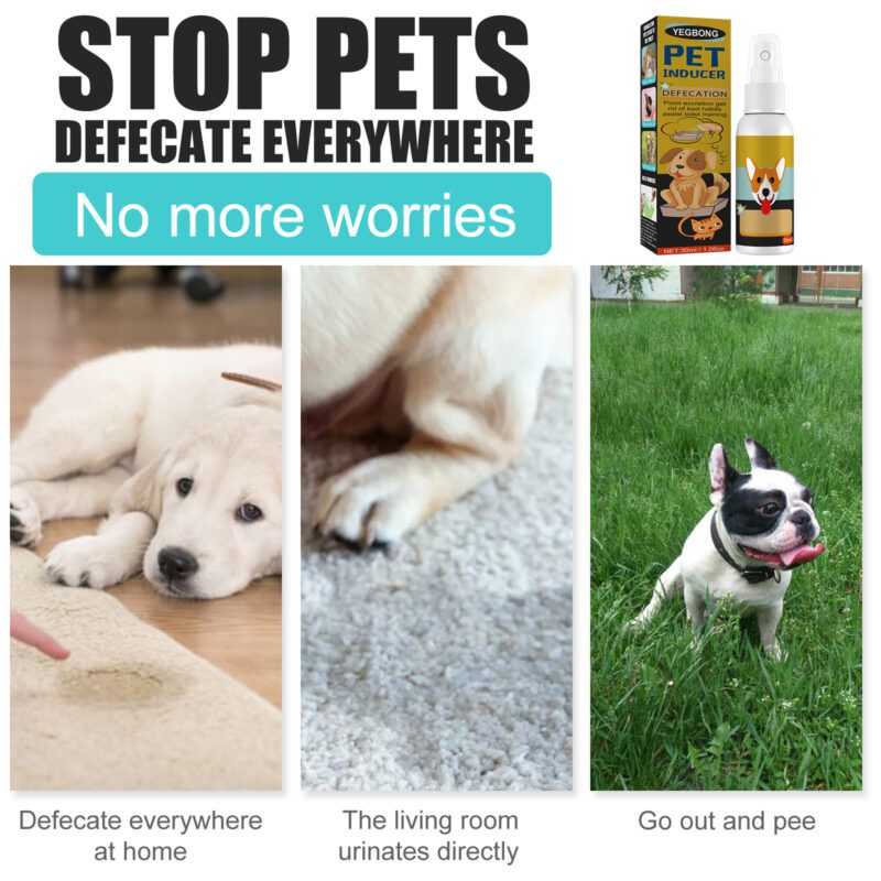Yegbong Potty Training Spray for Cats & Dogs: Designated Area Trainer - Image 4