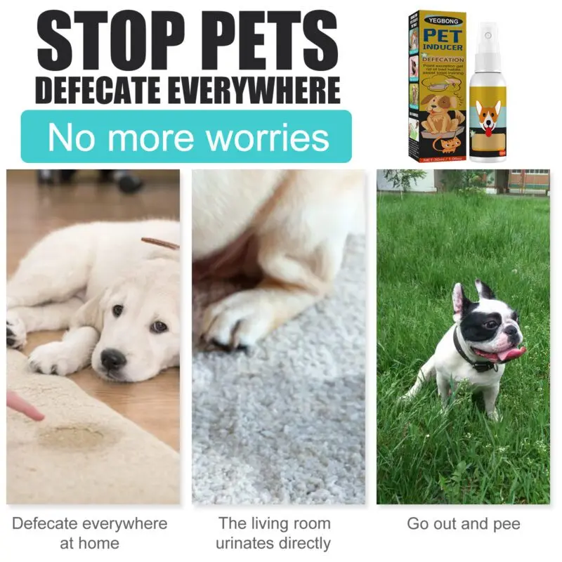 Yegbong Potty Training Spray for Cats & Dogs: Designated Area Trainer - Image 4