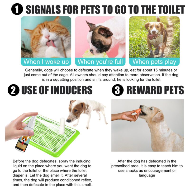 Yegbong Potty Training Spray for Cats & Dogs: Designated Area Trainer - Image 5