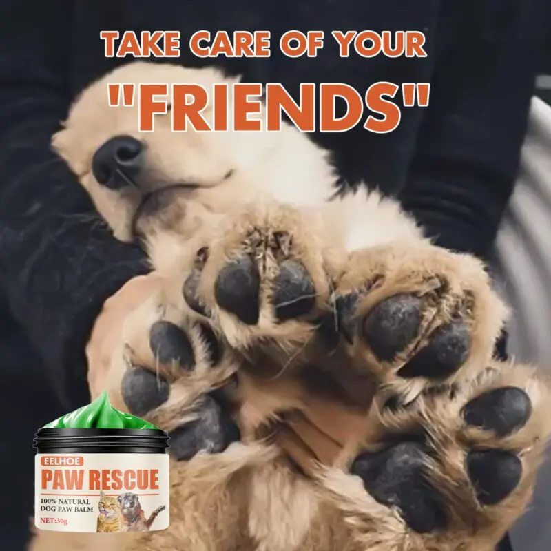 EELHOE Pet Paw Balm for Cats & Dogs - Soothes, Moisturizes & Protects Dry Cracked Paws - Image 3
