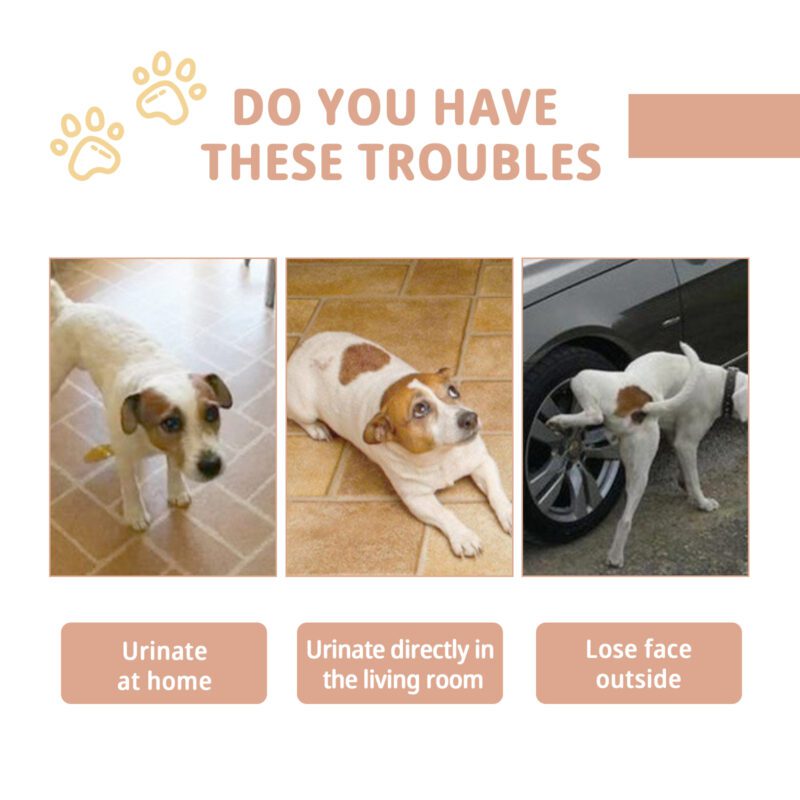 Jaysuing Pet Potty Training Spray - Toilet Inducer for Puppies and Cats - Image 3