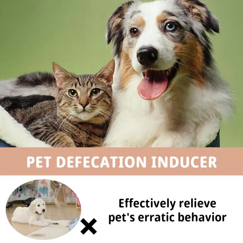 Jaysuing Pet Potty Training Spray - Toilet Inducer for Puppies and Cats - Image 4