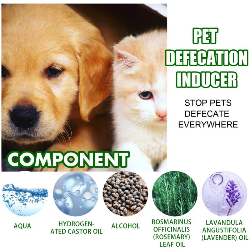 Yegbong Pet Spot Defecation Inducer - Potty Training Aid for Urine and Feces Location - Image 5