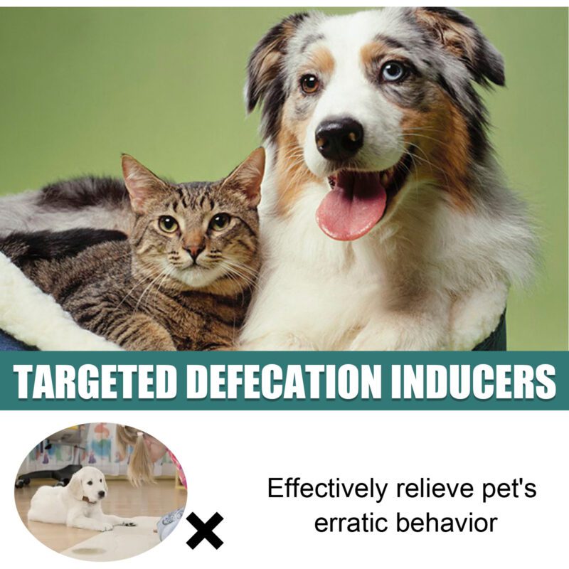 Yegbong Pet Spot Defecation Inducer - Potty Training Aid for Urine and Feces Location - Image 4