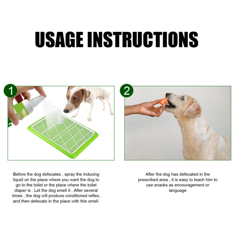Yegbong Pet Spot Defecation Inducer - Potty Training Aid for Urine and Feces Location - Image 6