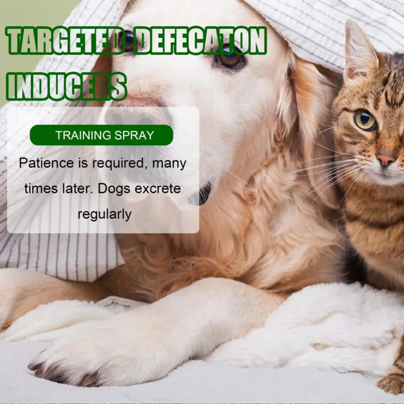 Yegbong Pet Spot Defecation Inducer - Potty Training Aid for Urine and Feces Location - Image 3