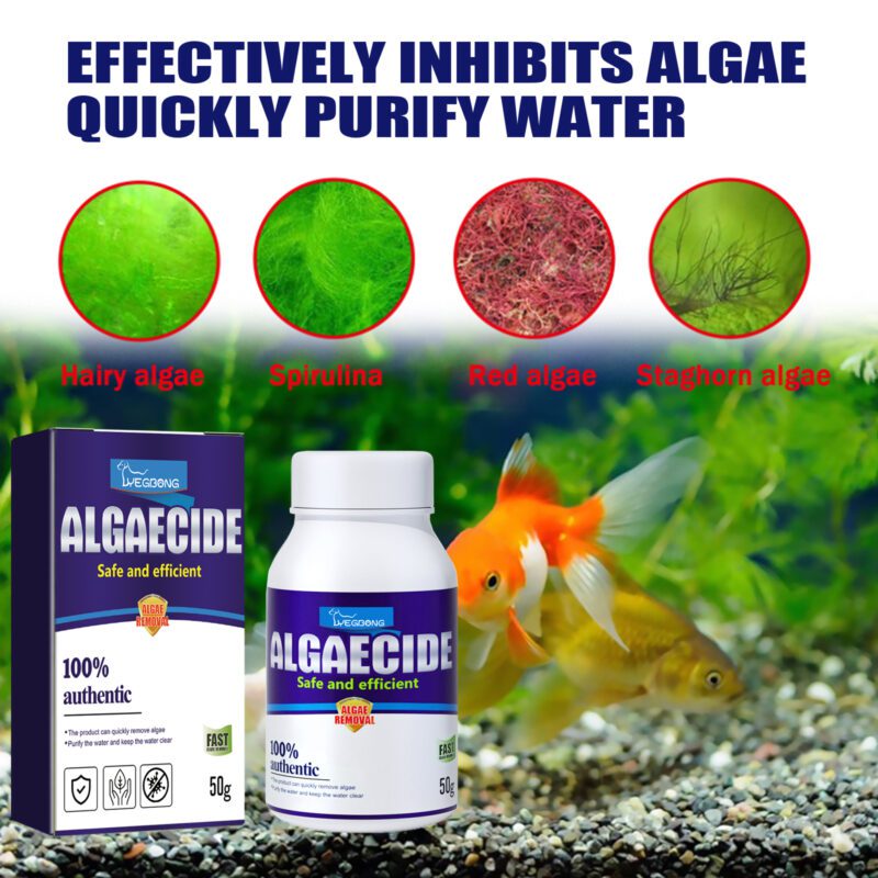 Yegbong Aquarium Algae and Moss Remover - Green Algae Cleaner for Fish Tanks - Image 4