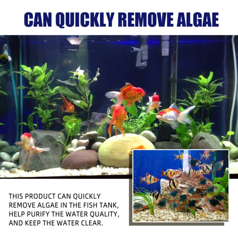 Yegbong Aquarium Algae and Moss Remover - Green Algae Cleaner for Fish Tanks - Image 6